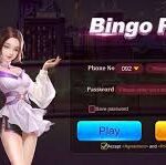 Bingo Patti Game
